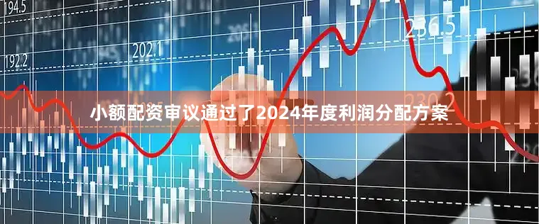 小额配资审议通过了2024年度利润分配方案